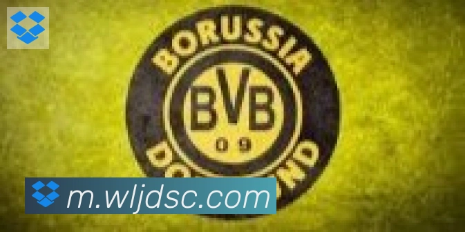 爱游戏ayx合作伙伴