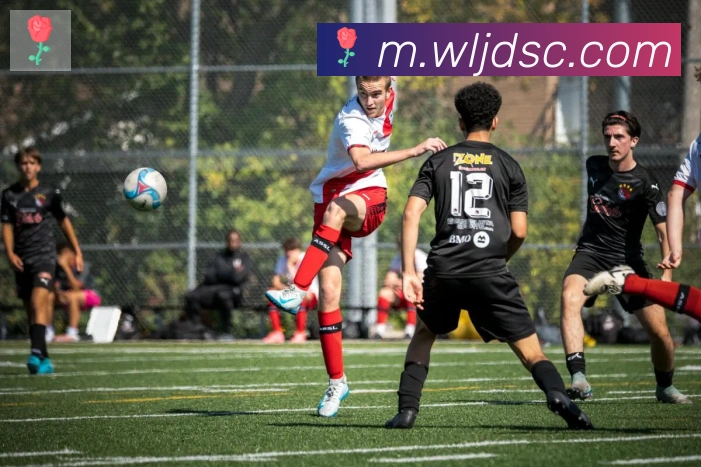 爱游戏ayx全站App